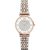 Emporio Armani Women’s Retro Two-Tone Stainless Steel Quartz Watch AR1926